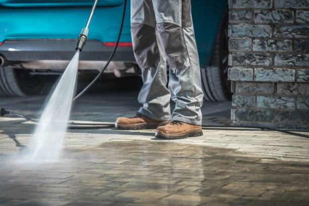 Best Driveway Pressure Washing  in Tarkio, MO